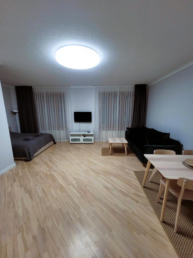 Great View Studio, Self Check In, Free Parking Κλαϊπέντα Εξωτερικό φωτογραφία